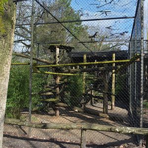 Aviary for retired servals