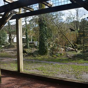 White tiger enclosure