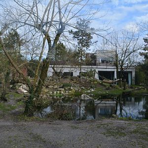 White tiger enclosure