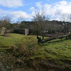 Soudan Cheetah enclosure