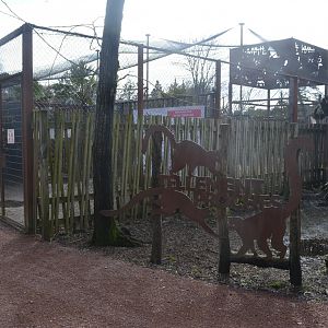 Lemur enclosure entry