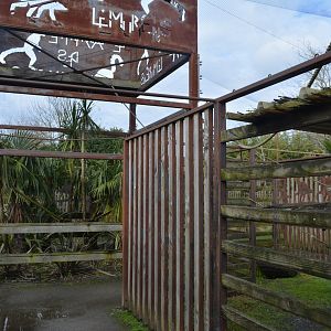 Lemur enclosure
