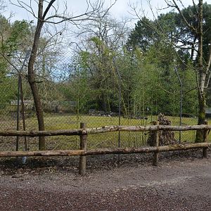 South american enclosure for capybaras, tapirs