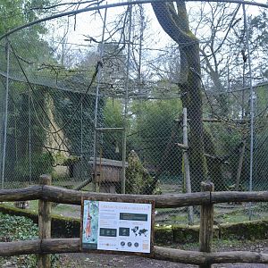 White-handed Gibbon aviary