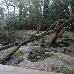 Porcupine enclosure