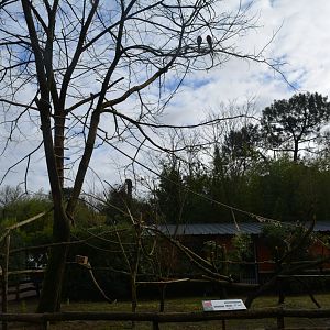 Enclosure for handicaped macaws
