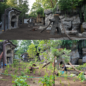 Jul. 2025 - Black Bear Ridge Construction Before & After (June & July)