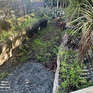 Old Elephant Exhibit - Dry Moat