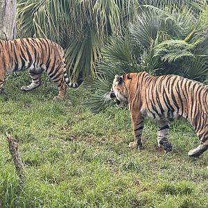 Zayana and Cahya (Mother and Daughter)
