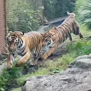 Zayana and Cahya (Mother and Daughter)