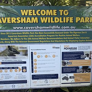 ZAA accreditation - July 2025