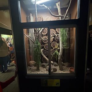 Stimson’s Python enclosure - July 2025