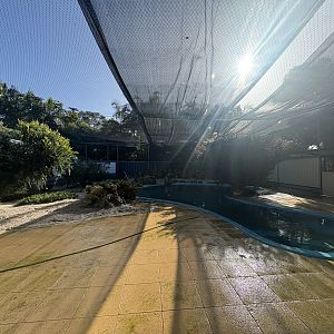 Little Penguin enclosure - July 2025