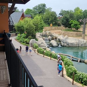 Jul. 2025 - Elephant Trek - Taken From Private Event Center