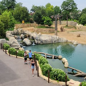 Jul. 2025 - Elephant Trek - Taken From Private Event Center