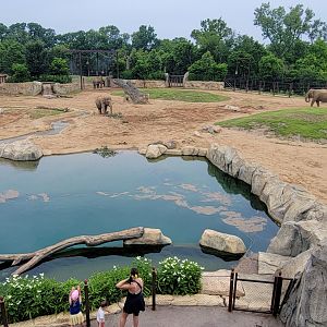 Jul. 2025 - Elephant Trek - Taken From Private Event Center