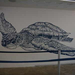 Aquarium Biarritz - Mural at the entrance