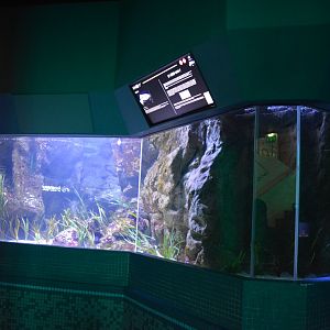 Aquarium Biarritz - One of the Golf of Vizcaya aquariums