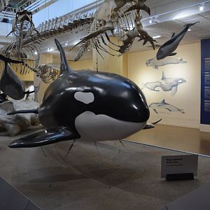 Aquarium Biarritz - Part of the sea museum