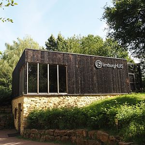 Limburg House with museum on the top floor and terrariums and aquariums with native species on the bottom floor, 2024-08-21