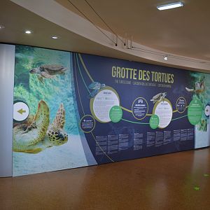 Aquarium Biarritz - Entry to sea turtle area