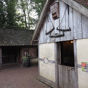 Flemish giant rabbit and Mergelland chicken and Old Dutch gull pigeon barns, 2024-08-21