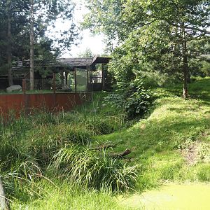 Part of the Eurasian lynx exhibit, 2024-08-21