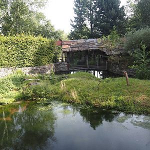 Eurasian beaver exhibit, 2024-08-21