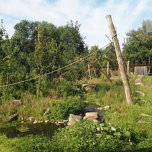 Barbary macaque exhibit, 2024-08-21