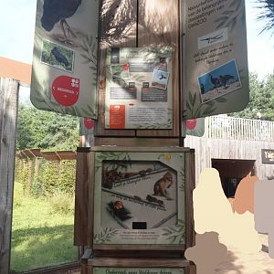 European species conservation signage - Signage about waldrapp conservation, 2024-08-21