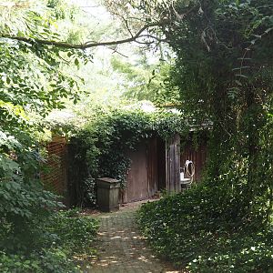 Backside of the bush dog house, 2024-08-21