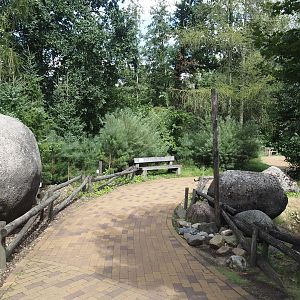 Walkway in the Taiga area near the European forest reindeer exhibit, 2024-08-21