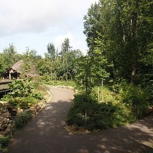 Route from the bush dog exhibit towards the monkey islands and the mixed South American exhibit in the Rainforest area, 2024-08-21