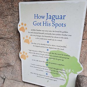 Zoo Legend - How Jaguar Got His Spots