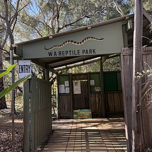 Western Australia Reptile Park - July 2025