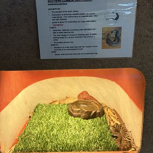 Western Australia Reptile Park - July 2025