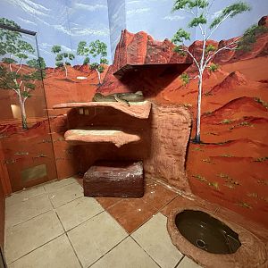Western Australia Reptile Park - July 2025