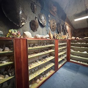 Western Australia Reptile Park - July 2025