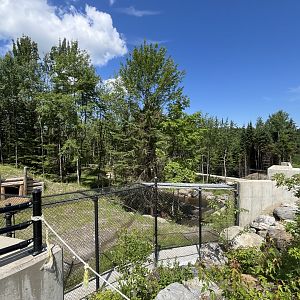 Construction progress on the new bear habitat in the reserve