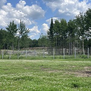 Excavation for the lemur island exhibit at the Reserve