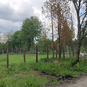 Construction progress on the equid exhibit at the Reserve