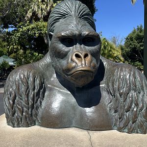 July 2025 - Bust of Ngagi (Mountain Gorilla)
