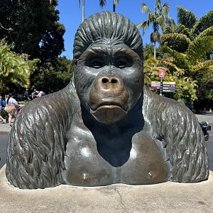 July 2025 - Bust of Mbongo (Mountain Gorilla)