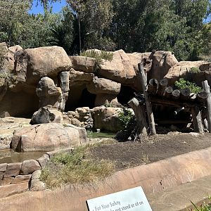 July 2025 - Center Street - Grizzly Bear Grotto (1 of 2)