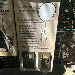 July 2025 - Sun Bear Forest - Signage (2)