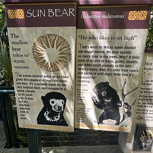 July 2025 - Sun Bear Forest - Signage (3)