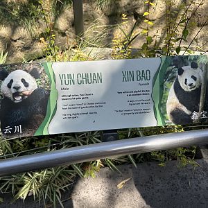 July 2025 - Panda Ridge - Panda Identification Signage