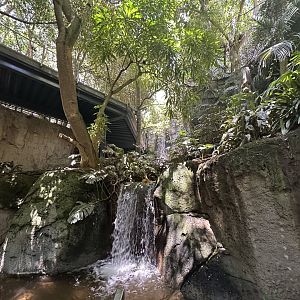 July 2025 - Lost Forest - Scripps Aviary Interior (Lower Level)