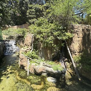 July 2025 - Lost Forest - Mixed Enclosure