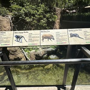 July 2025 - Lost Forest - Mixed Enclosure Signage